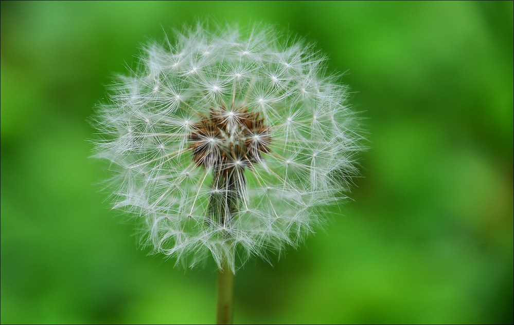 souffler n'est pas jouer