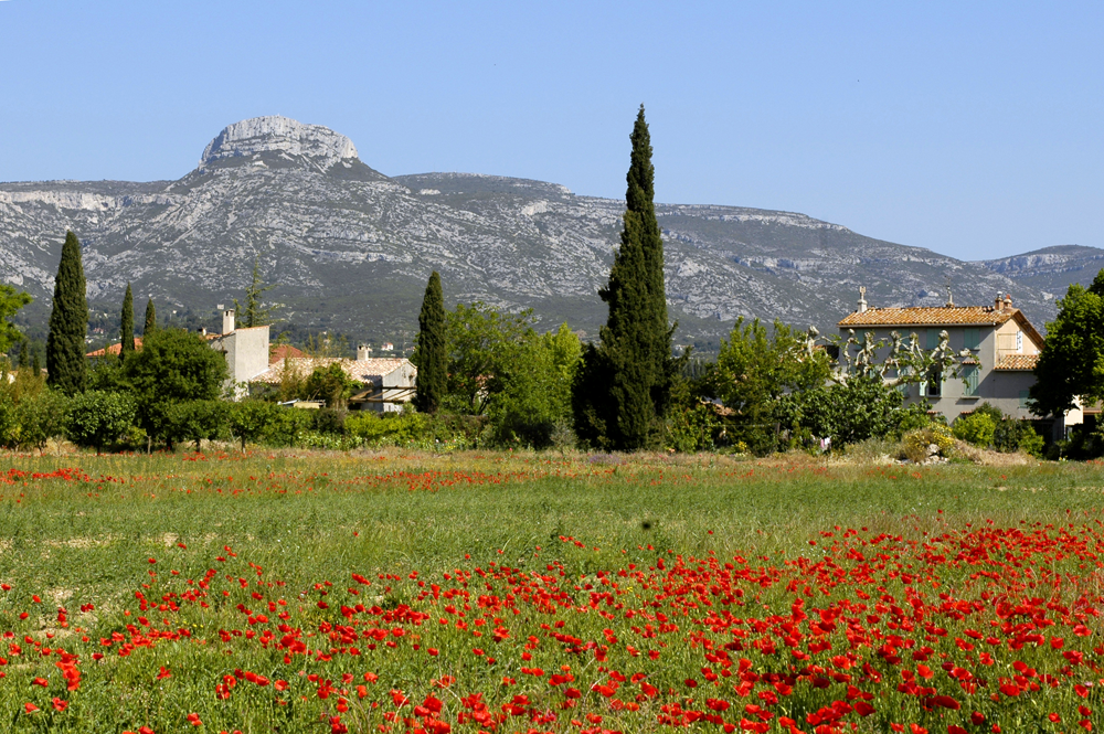 RTEmagicP_garlaban-et-coquelicots_02